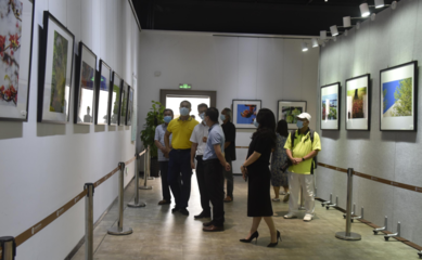 光影定格！春暖花開 大美沙田攝影作品展開幕