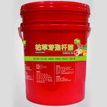 生物有機肥料研發(fā) 現(xiàn)代農(nóng)業(yè)的綠色引擎