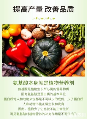 微生物有機肥與氨基酸肥料的協(xié)同創(chuàng)新 復(fù)合氨基酸原粉、水溶肥及葉面肥的生物有機肥料研發(fā)