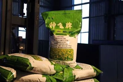 我縣神飛生物科技股份簽訂超千萬元大單，引領(lǐng)復(fù)合微生物肥料研發(fā)新篇章